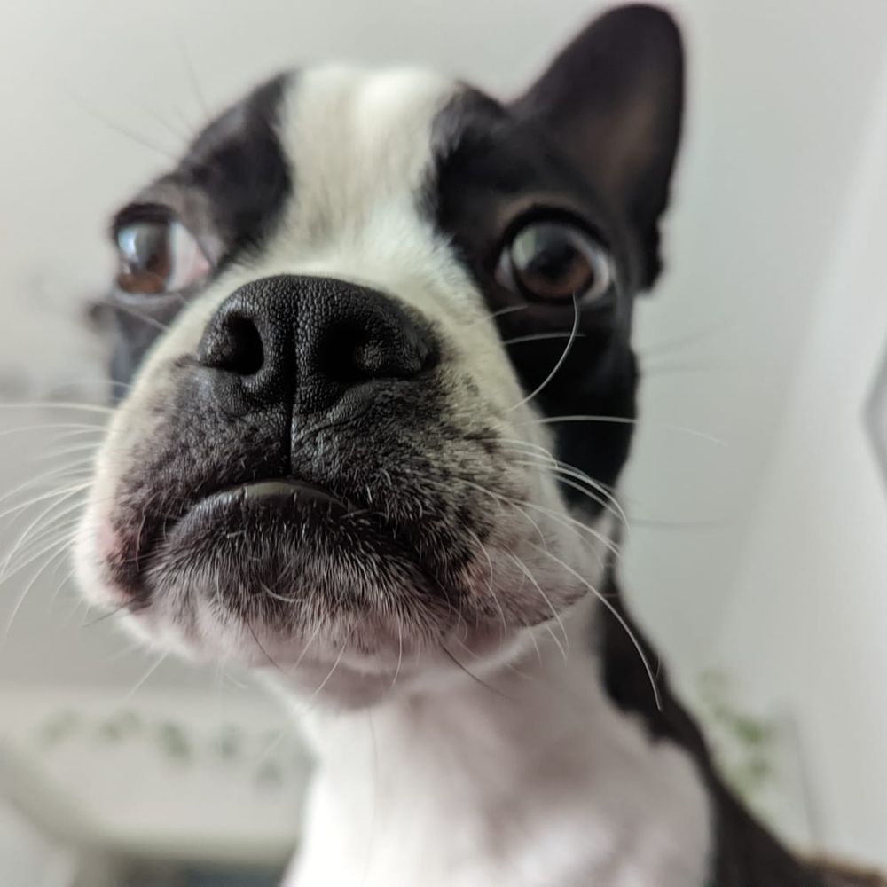 Benny